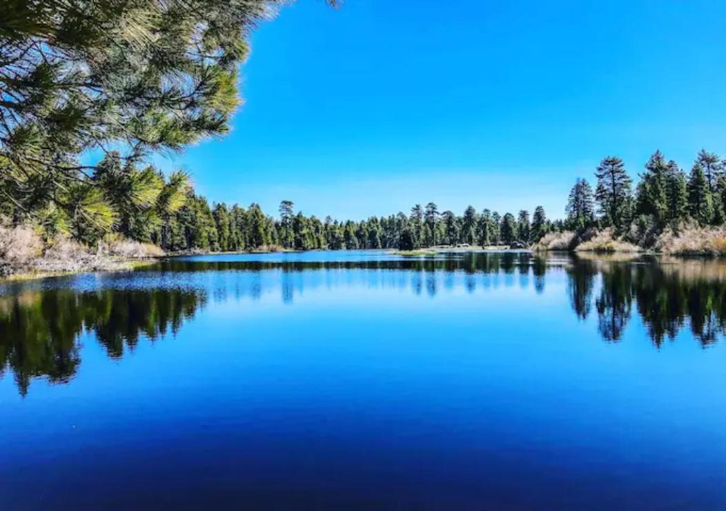 Snow Bunny Cottage, Pets Welcomed! Green Valley Lake Exterior foto